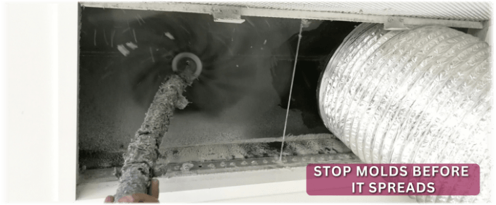Air Duct Mold Removal in Houston TX