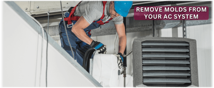 HVAC Mold Removal Houston TX